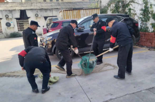 归义街道罗城社区联合多部门开展流浪犬专项清理行动