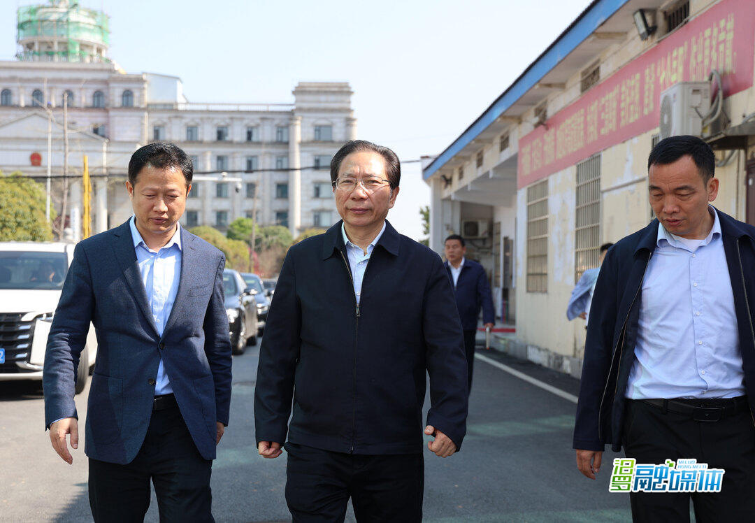 黎作凤来汨罗调研督导乡镇履职事项清单编制、校园食品安全、防汛备汛、项目建设工作