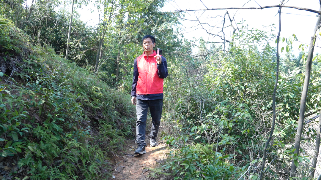 神鼎山镇护林员黄正国：守护4000多亩山林  只为满山青绿