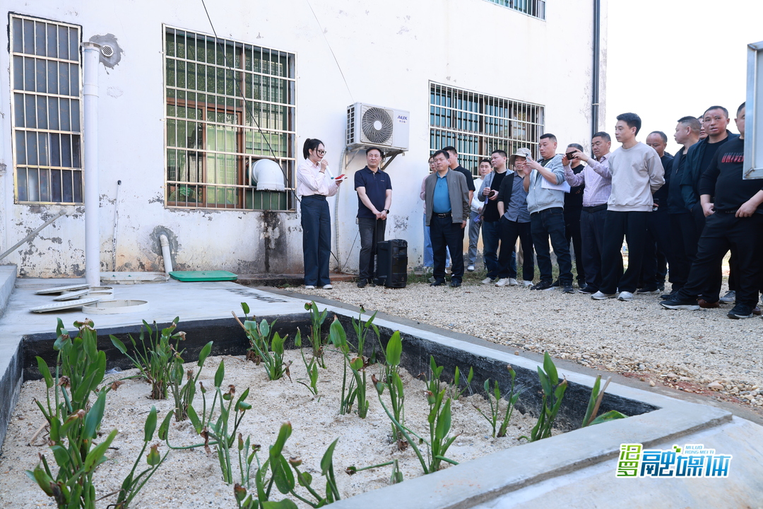 汨罗市农村人居环境整治提升暨农村改厕提质增效现场推进会召开