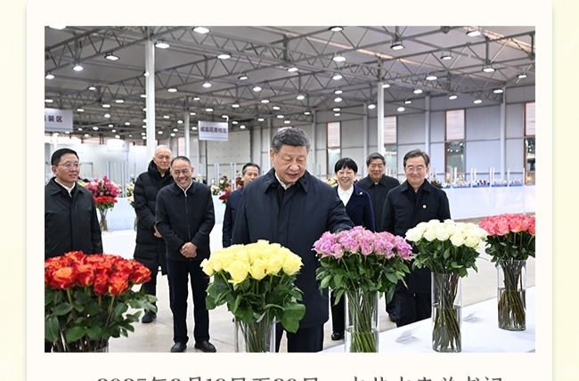 让“美丽产业”成为造福群众的“幸福产业”
