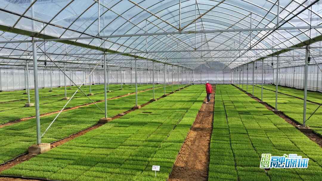 汨罗：机械化、智能化赋能春耕 种粮大户丰收更有信心
