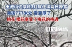 【学习强国】亲自然丨桃花映雪，樱花含冰！汨罗达摩岭春日限定的浪漫