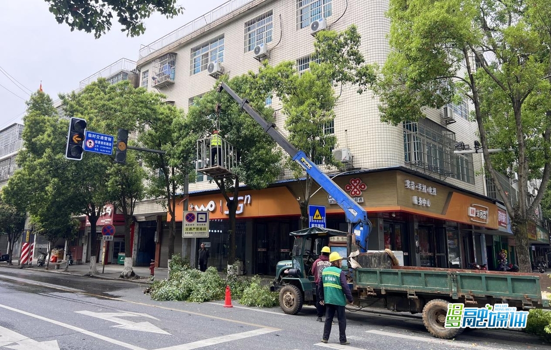 汨罗园林中心：修剪“越界”树枝，消除安全隐患
