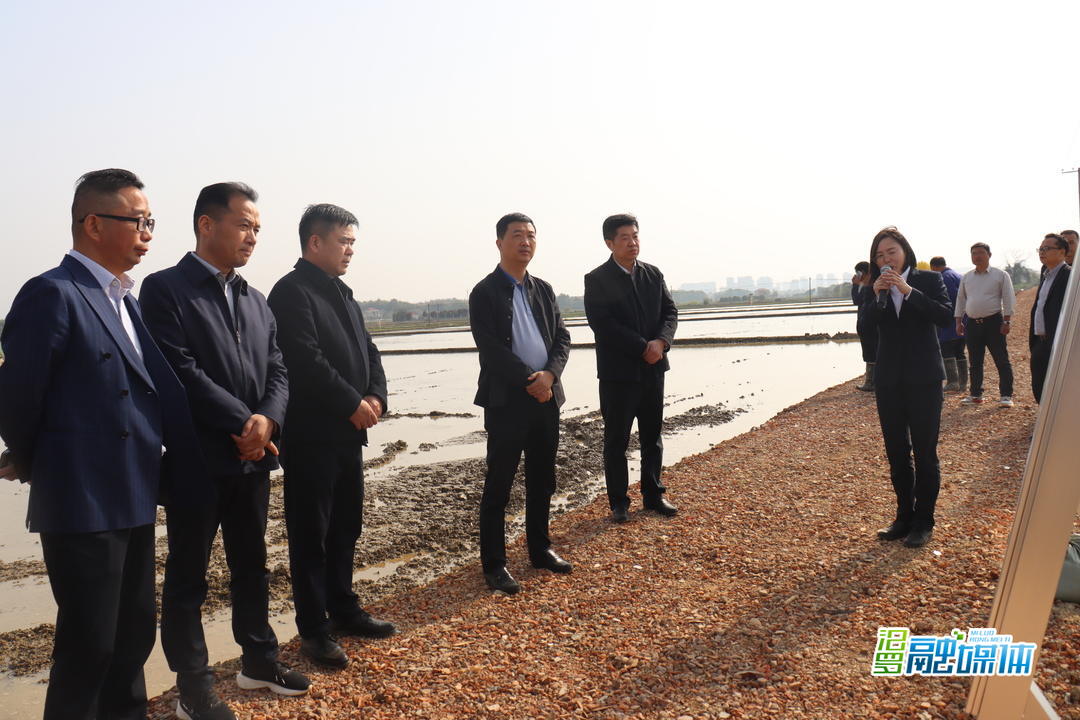 岳阳春季农业生产现场会走进汨罗