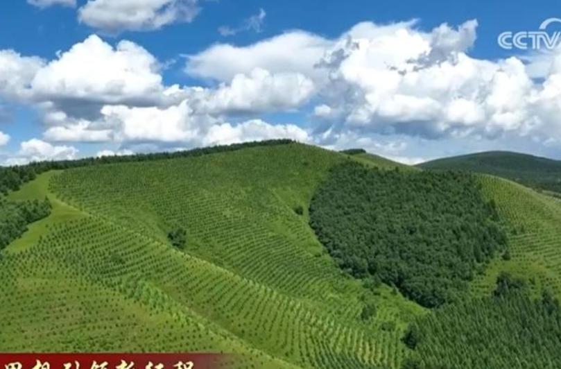 【新思想引领新征程】共植新绿 建设美丽中国