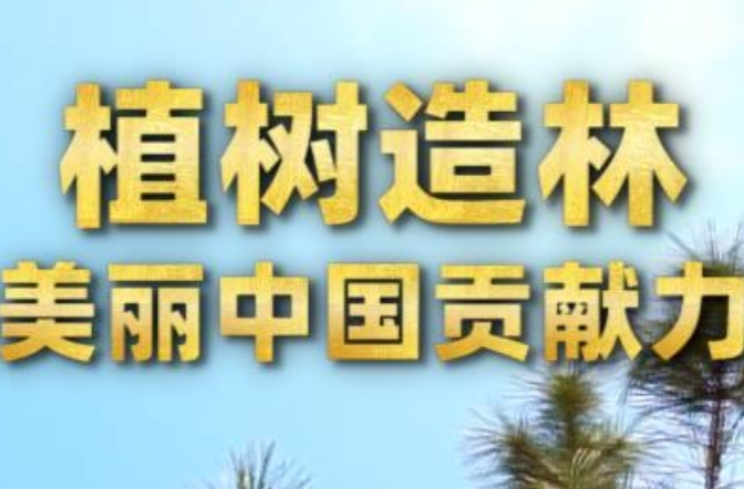 第1视点｜植树造林 为美丽中国贡献力量
