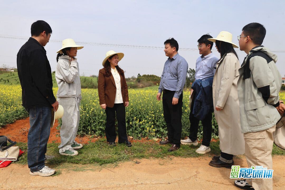 中国科学院打响耕地红壤改良战 借汨罗“示范田” 助力红壤焕新