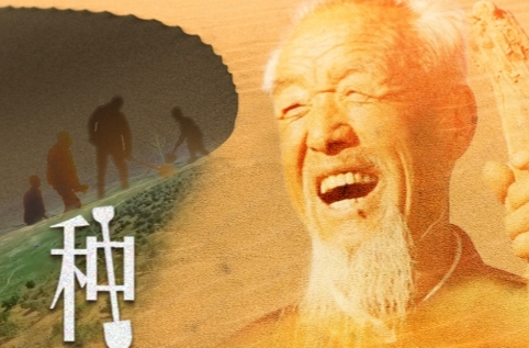 近观“两山”丨种出一个春天！
