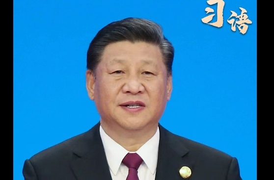 习语 |“中国经济是一片大海，而不是一个小池塘”