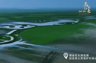 鹿王归来