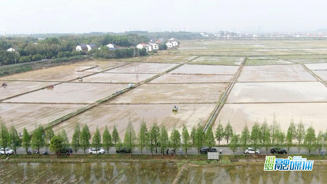 科技赋能助春耕，汨罗市4月底可完成早稻插秧任务