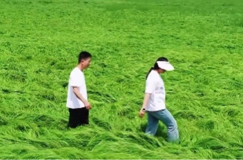 【学习强国】相约2025·共赴旅发盛会丨在汨罗江畔，邂逅春日的“绿野仙踪”
