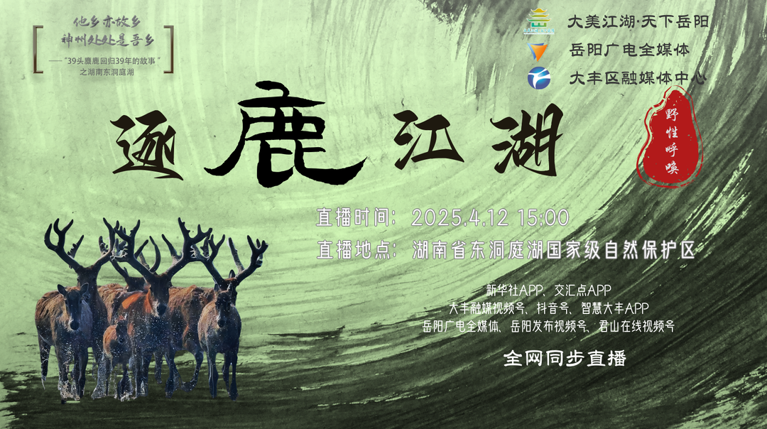 直播丨逐鹿江湖