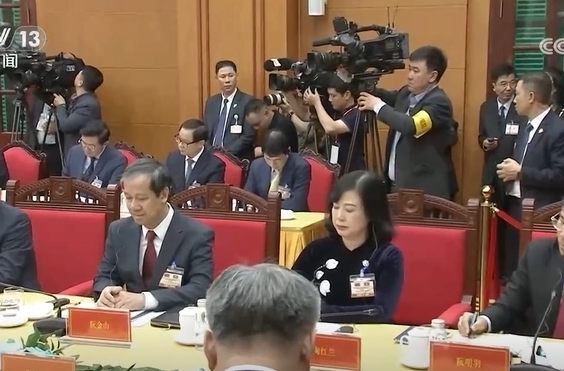 习近平会见越南总理范明政