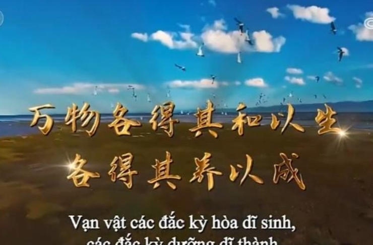 《平“语”近人——习近平喜欢的典故》（越南语版）启播