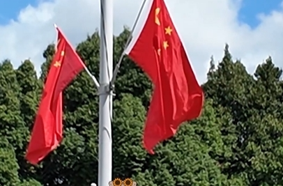 时政Vlog丨友好氛围拉满！布城街头中马国旗飘扬