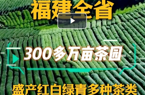 何以中国｜习近平的闽茶缘
