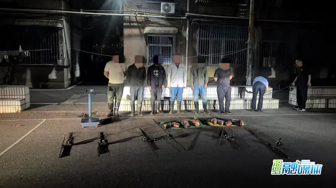 汨罗破获一起非法捕捞案件 当场抓获 9 名非法捕捞嫌疑人