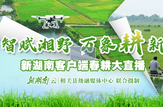 【新湖南】智赋湘野 万象耕新⑥丨汨罗：万亩秧田上演“科技秀”