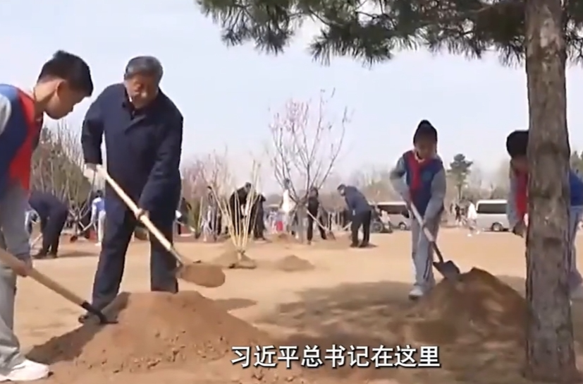 壹视界·微视频｜总书记礼赞劳动创造