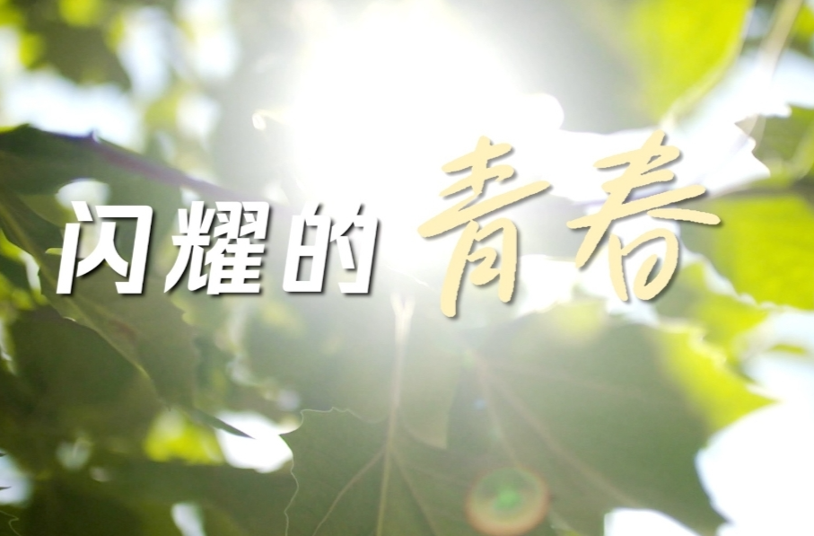 闪耀的青春