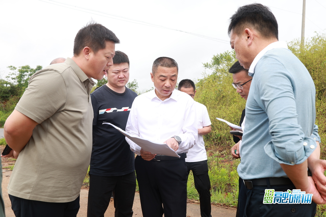 朱平波到屈子祠镇调研“五好两宜”和美乡村项目建设