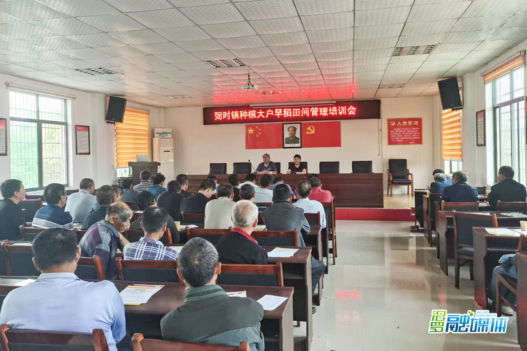 弼时镇举办早稻田间管理培训 助力粮食稳产增收