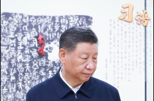 习语｜“一个博物馆就是一所大学校”