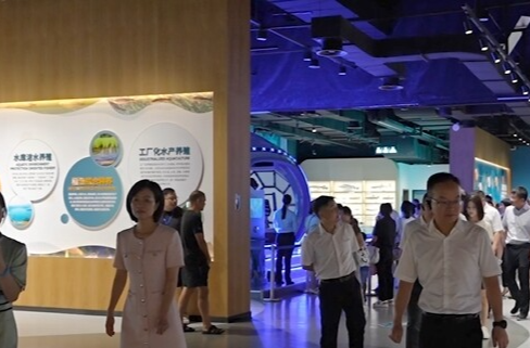 学习·知行丨在“大学校”感悟“何以中国”