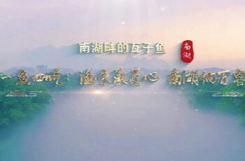 新华社报道丨寻味江湖·渔味承匠心 南湖纳百客