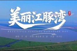 第四届湖南旅游发展大会丨献礼盛会 唱响岳阳（11）《美丽江豚湾》