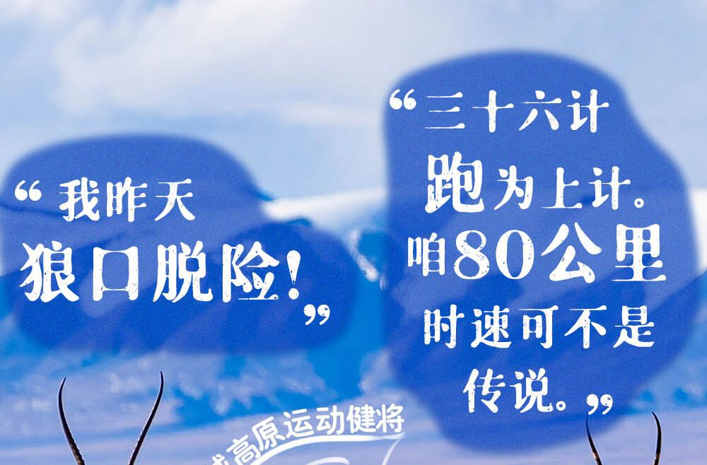 天天学习｜习近平特别关注的“TA们”