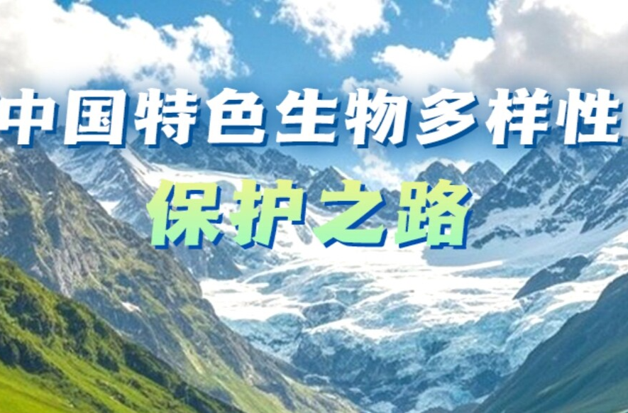 【讲习所·中国与世界】习近平：共建地球生命共同体