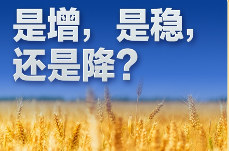 习近平的民生之问｜“是增，是稳，还是降？”