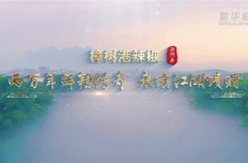 新华社报道丨寻味江湖·樟树港辣椒：两百年鲜辣传奇 永续江湖馈赠