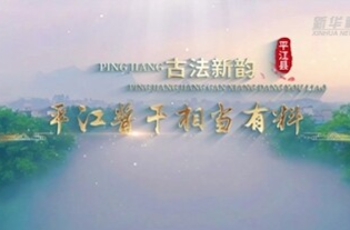 新华社报道丨寻味江湖·平江酱干：古法新韵 相当有料