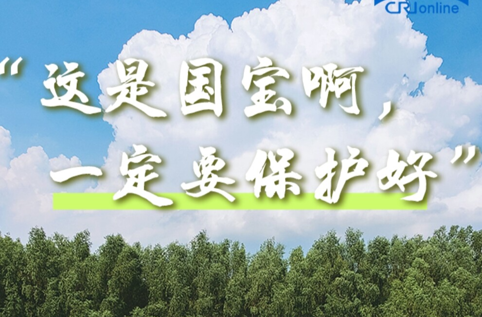 【讲习所·中国与世界】“人不负青山，青山定不负人”