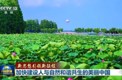 新思想引领新征程丨加快建设人与自然和谐共生的美丽中国