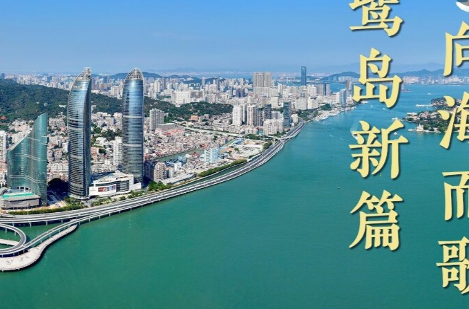 微视频｜鹭岛新篇 向海而歌