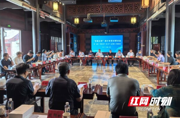 【红网时刻】洞见岳阳丨文学“寻根”从未过时 在碎片化世界中重建连续性可能