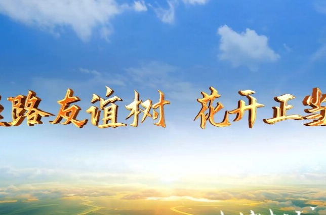 大道之行丨丝路友谊树 花开正当时