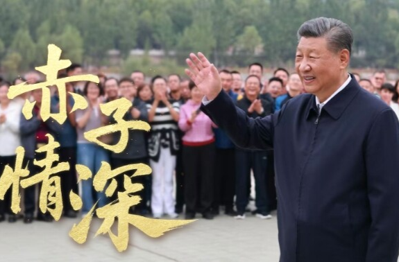 时政微视频丨赤子情深