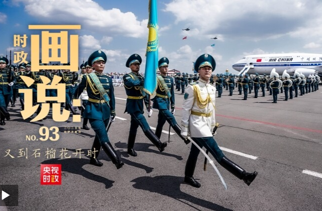 时政画说丨又到石榴花开时