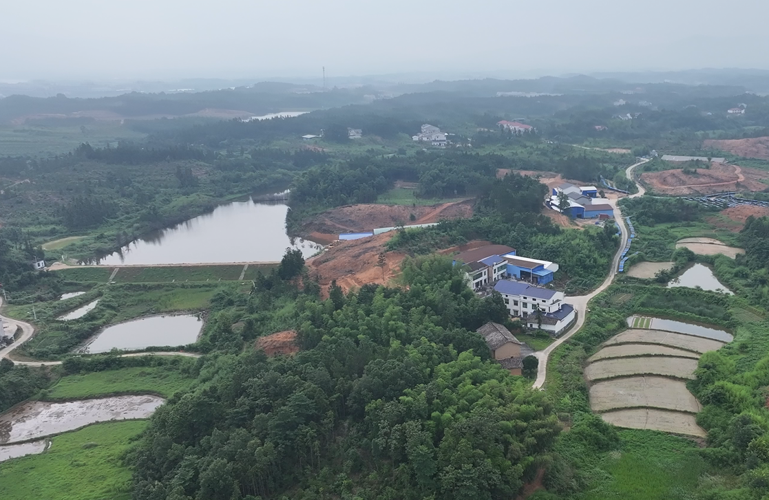 小镇造物志（十四）丨 从快递员到 "艾叶香王" ！汨罗小伙李文君十年带火 20 家乡村工厂