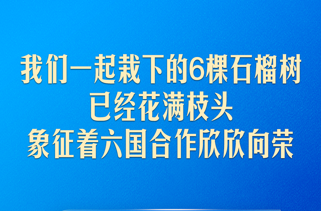 弘扬“中国－中亚精神”，习近平指明中国中亚合作方向