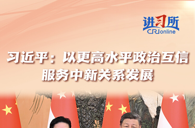 【讲习所·中国与世界】习近平：以更高水平政治互信服务中新关系发展