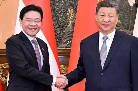 联播+｜中新合作树标杆