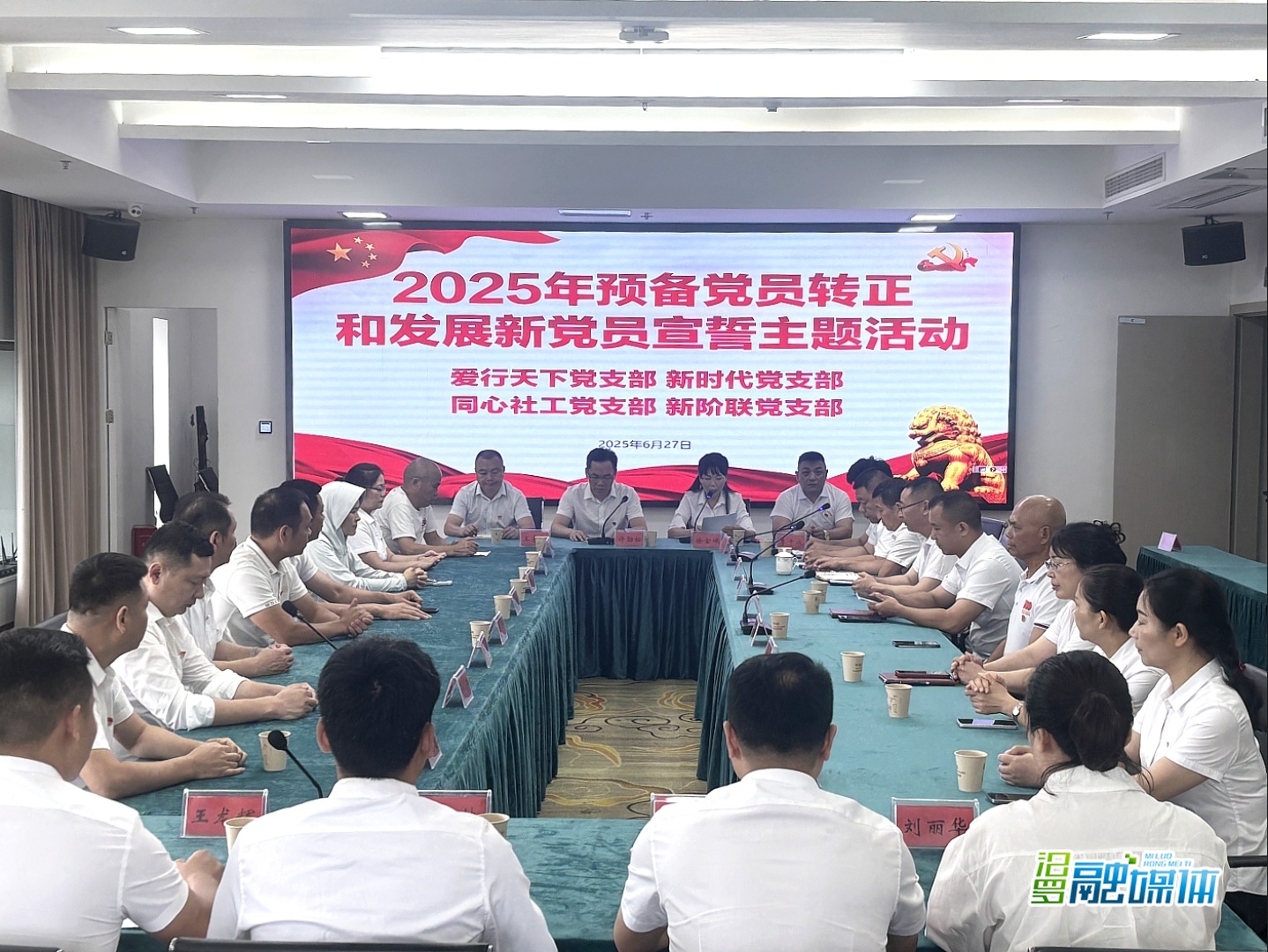 汨罗市四家社会组织联合开展主题党日活动：庄严宣誓守初心 表彰先进担使命