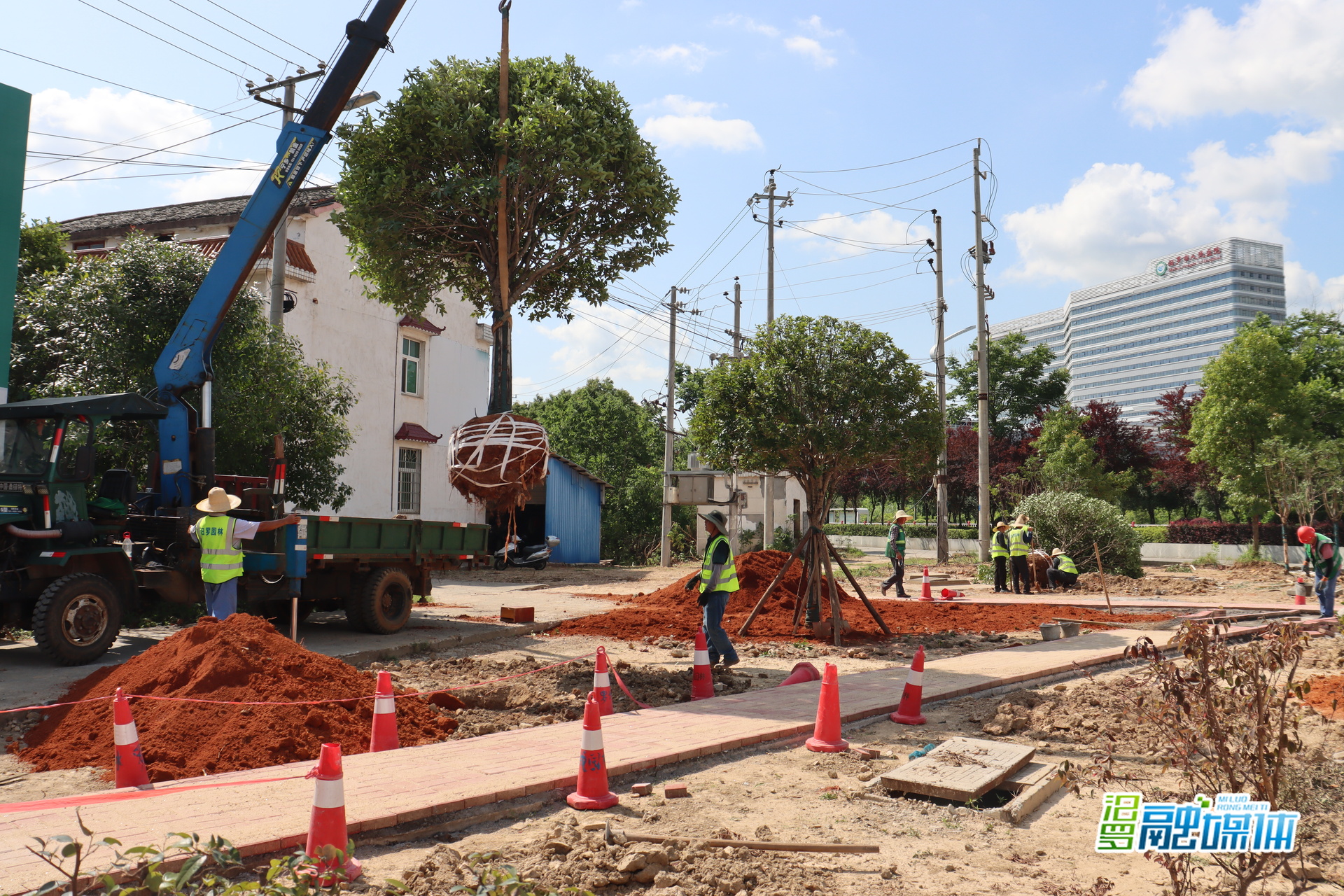 汨罗：高泉北路小游园旧貌焕新  市民推窗见绿出门进园